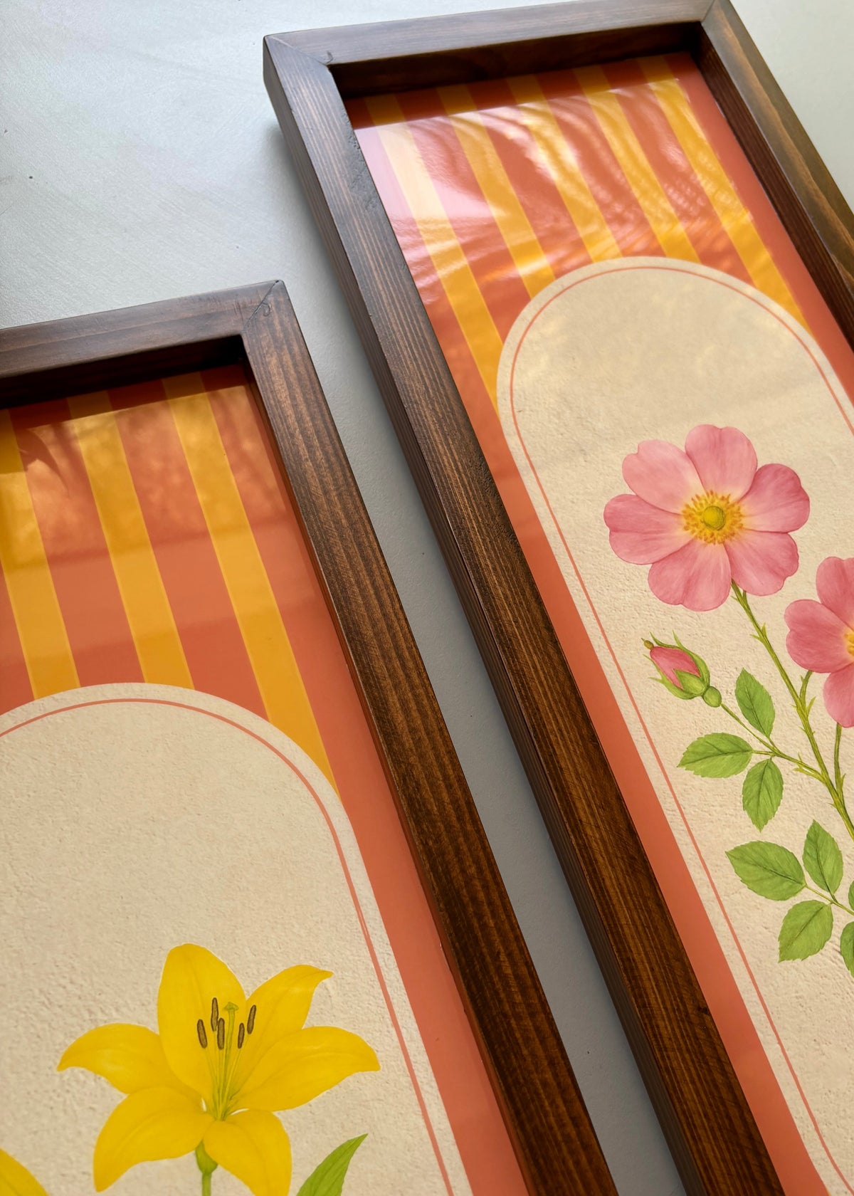 Roshan Rang Set of Two Wooden Wall Frames